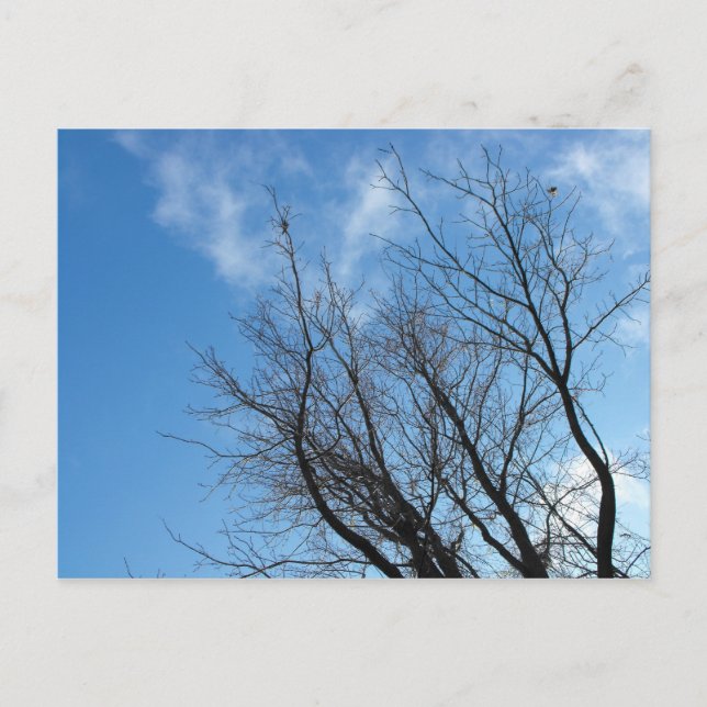 Cartão Postal Obrigado a Soldier, DSCF9242 (Frente)