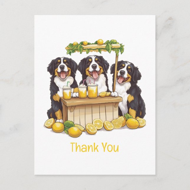 Cartão Postal Obrigado Bernese Mountain Dogs Loja de Limonada (Frente)