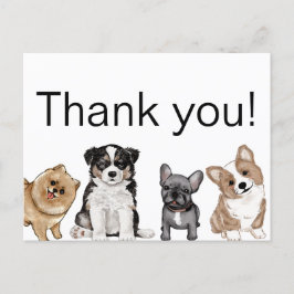 Cartão Postal Obrigado Cachorrinho, Corgi, Bulldog Francês, Pome