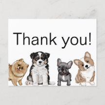 Obrigado Cachorro, Corgi, Bulldog Francês, Pomerân