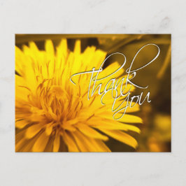 Cartão Postal Obrigado Cartão-Postal Amarelo Dandelion