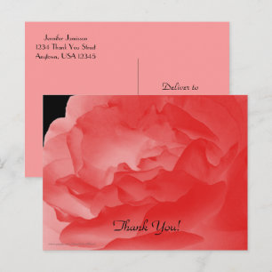 Cartão Postal Obrigado Cartão-Postal, Coral Rosa Rosa Pétalas