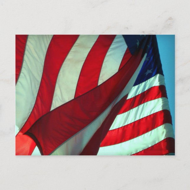 Cartão Postal Obrigado... Cartão-postal do Dia dos Veteranos (Frente)