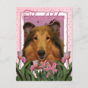Cartão Postal Obrigado - Collie - Natalie