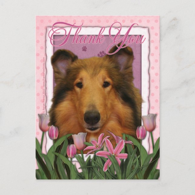 Cartão Postal Obrigado - Collie - Natalie (Frente)