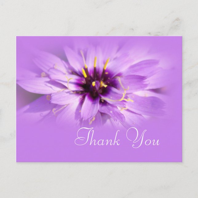 Cartão Postal Obrigado de flor de margarida roxa Elegante que vo (Frente)