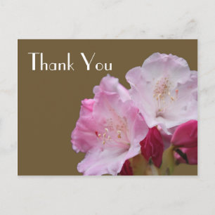 Cartão Postal Obrigado, flores de azálea rosa,杜鹃花