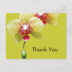 Cartão Postal obrigado, flores de orquídea amarela