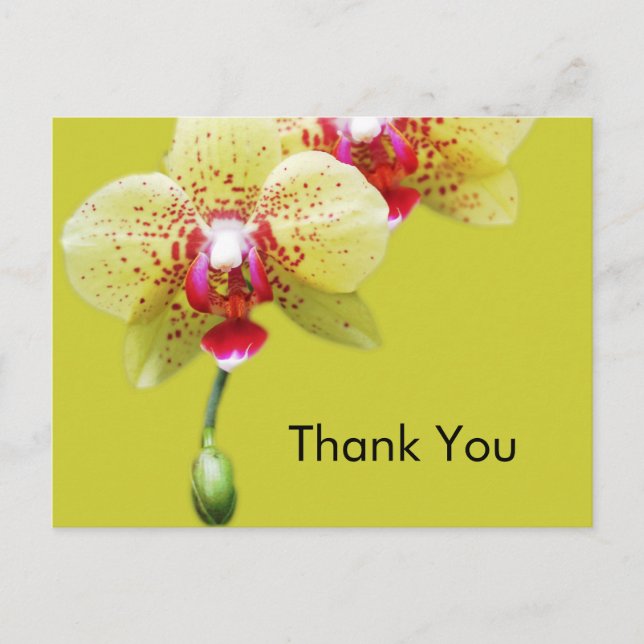 Cartão Postal obrigado, flores de orquídea amarela (Frente)