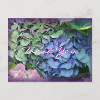 Cartão Postal Obrigado Hydrangea 4577- personalize qualquer ocas