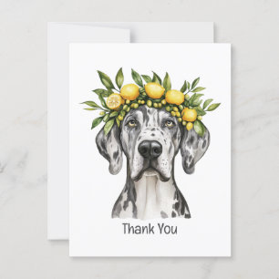 Cartão Postal Obrigado Merle Dogão Coroa de Limão