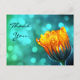 Cartão Postal Obrigado, Ouro Marigold no Teal Bokeh