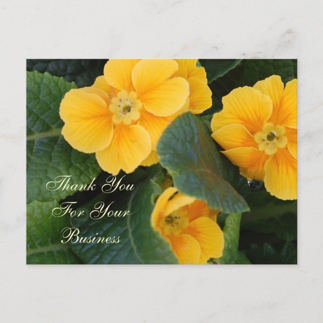 Cartão Postal Obrigado Pelo Cartão-Postal Da Sua Empresa (Frente)