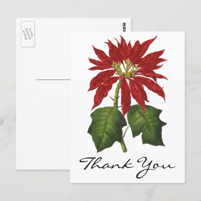 Cartão Postal Obrigado por um Natal Clássico (Frente/Verso)