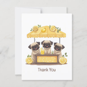 Cartão Postal Obrigado Pug Dogs Loja de Limonada