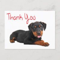 Obrigado Rottweiler Cão Cachorro Cachorro Saudação
