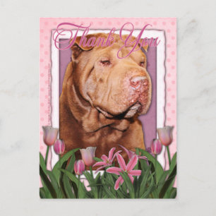 Cartão Postal Obrigado - Shar Pei - Sortudo
