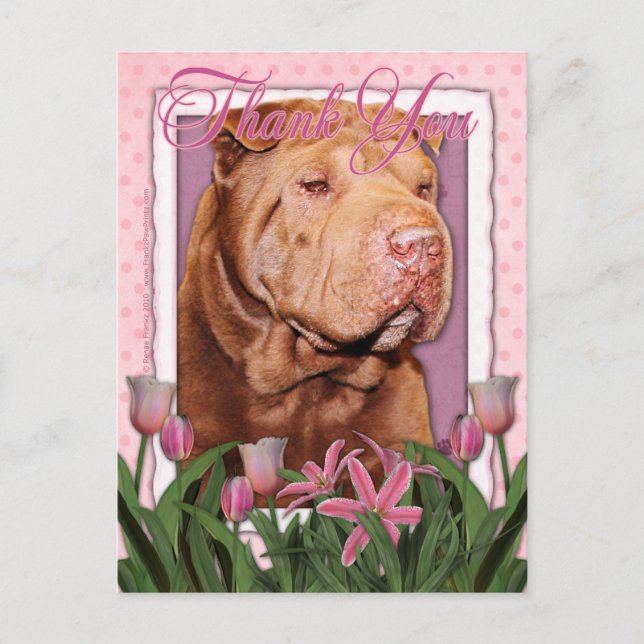 Cartão Postal Obrigado - Shar Pei - Sortudo (Frente)