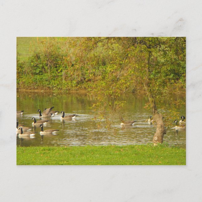 Cartão Postal Obrigado soldado. (Frente)