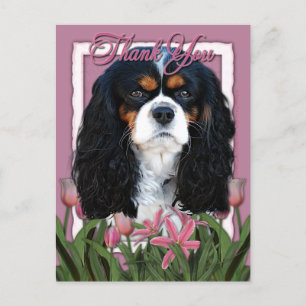 Cartão Postal Obrigado - Tulipas Rosa - Cavaleiro - Tricolores