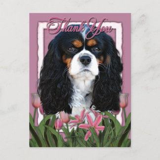Cartão Postal Obrigado - Tulipas Rosa - Cavaleiro - Tricolores