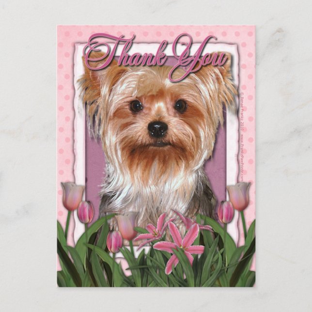 Cartão Postal Obrigado - Tulipas Rosa - Yorkshire Terrier (Frente)