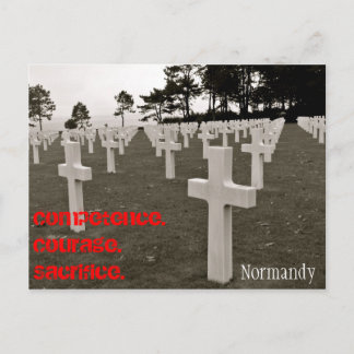 Cartão Postal Obrigado um Vet