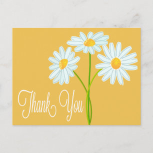 Cartão Postal Obrigado White Daisy Flor Laranja Poste