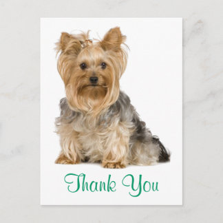 Cartão Postal Obrigado Yorkshire Terrier Puppy Dog Postcard