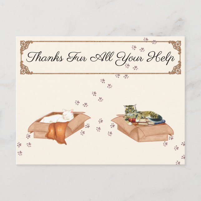 Cartão Postal Obrigados Dão Toda A Sua Ajuda! Gatos em caixas, g (Frente)