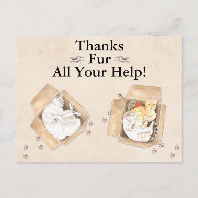 Cartão Postal Obrigados Dão Toda A Sua Ajuda! Gatos em caixas, o (Frente)