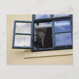 Cartão Postal Observador