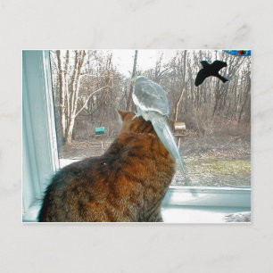 Cartão Postal Observando o pássaro