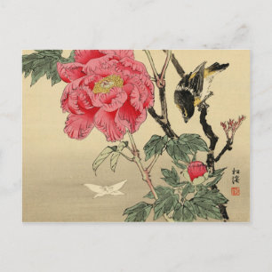 Cartão Postal Observando uma borboleta