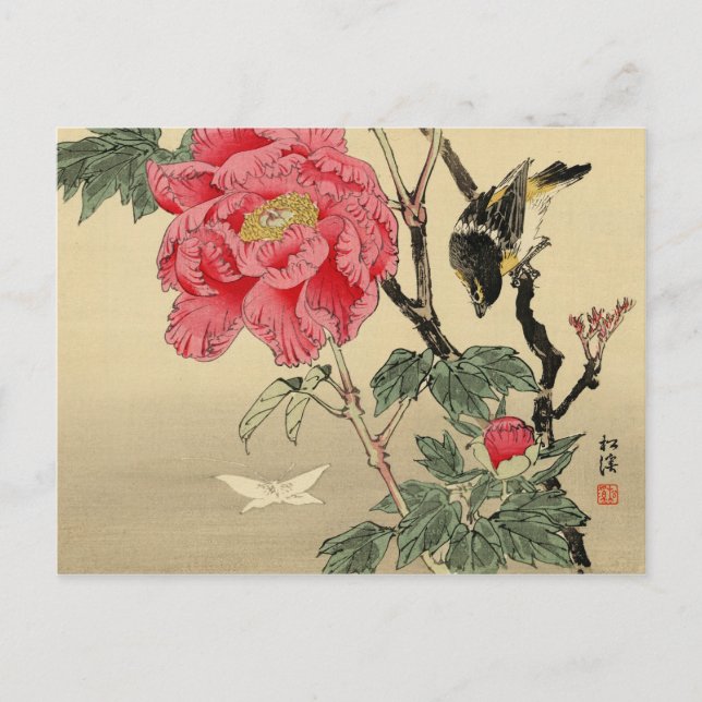 Cartão Postal Observando uma borboleta (Frente)