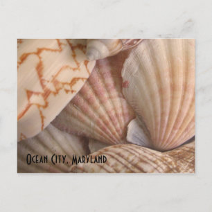 Cartão Postal Ocean City, Maryland Postcard