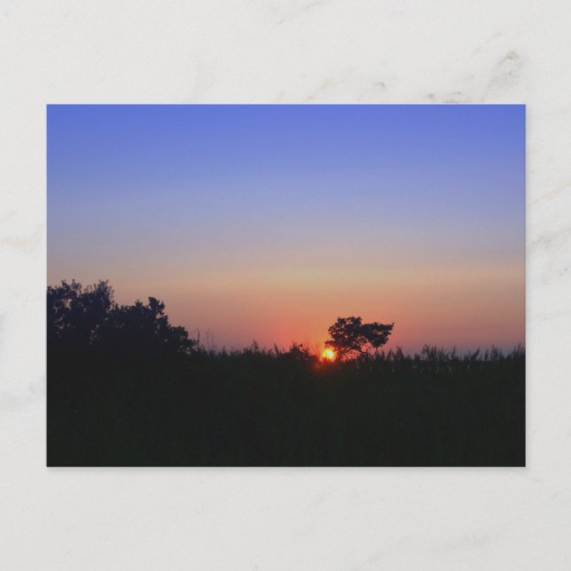 CARTÃO POSTAL OCEAN CITY MD (Frente)