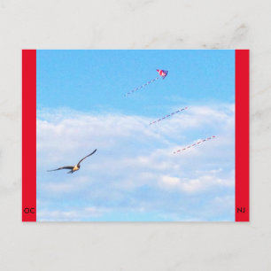 Cartão Postal Ocean City, New Jersey Poste Card-Fly