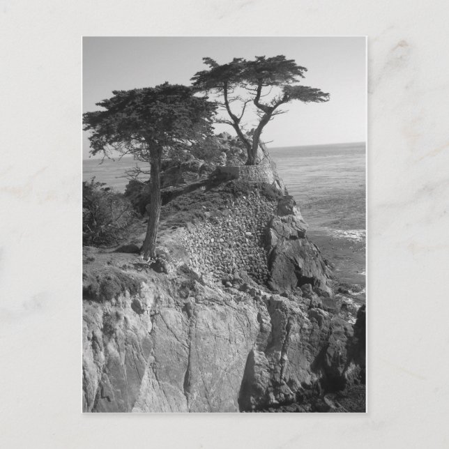 Cartão Postal Oceano Pacífico (Frente)