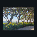 Cartão postal Oceano Pier e Uvas Marítimas da Flór<br><div class="desc">Capture o charme à beira-mar e a tranquilidade oceânica de Júpiter, na Flórida, com este cartão postal de Júpiter, na Flórida, belamente composto. Mostrando uma cena pacífica do boulevard do oceano e o icônico píer de pesca, esta imagem foi tirada ao nascer do sol em 6 de maio de 2024,...</div>