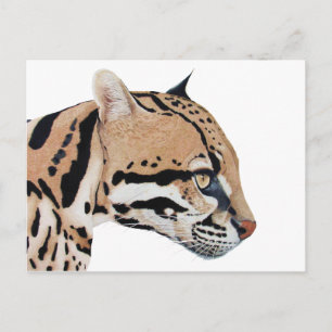 Cartão Postal Ocelot