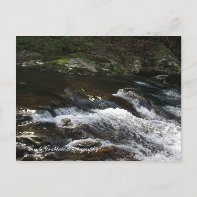 Cartão Postal Ocoee River, Tennessee (Frente)