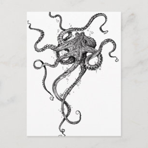 Cartão Postal Octopus