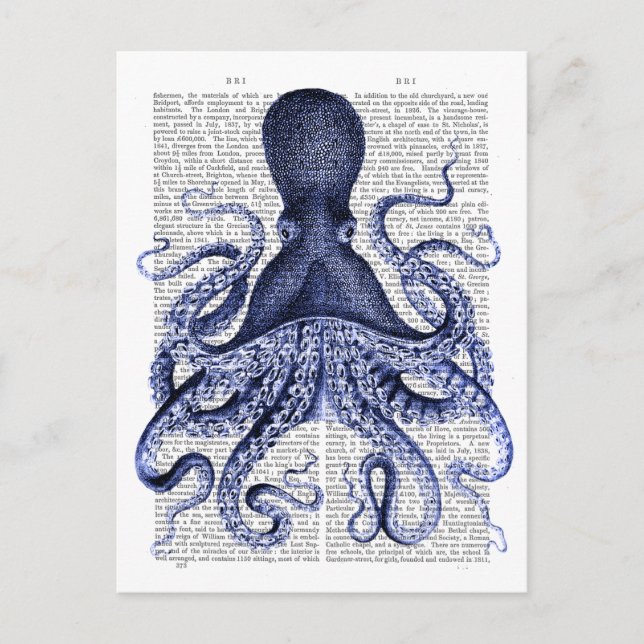 Cartão Postal Octopus azul (Frente)