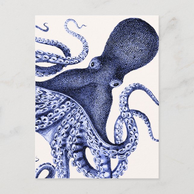 Cartão Postal Octopus Azul Paisagem (Frente)