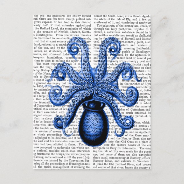 Cartão Postal Octopus Azul Vintage 1 Embaixo (Frente)
