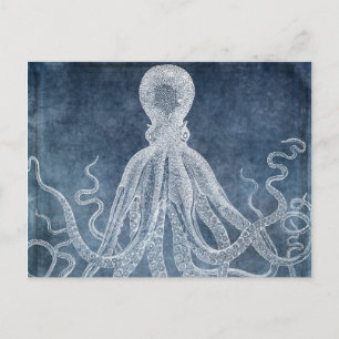 Cartão Postal Octopus - Cor de Água do Denim Azul-Twilight Esmae