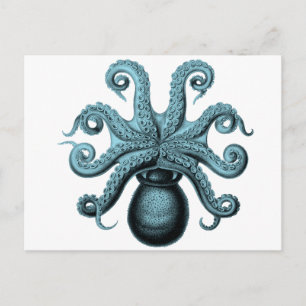 Cartão Postal Octopus em Teal
