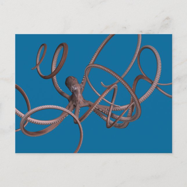 Cartão Postal Octopus gigante (Frente)