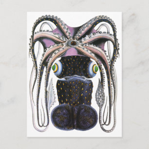 Cartão Postal Octopus gigante da Vintage ou lula, Animal da Mari